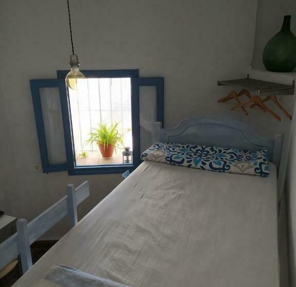 بنسيون La Lectora