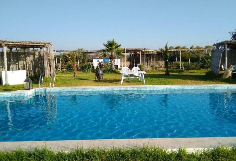 بنسيون Diar Maamoura Daroufa