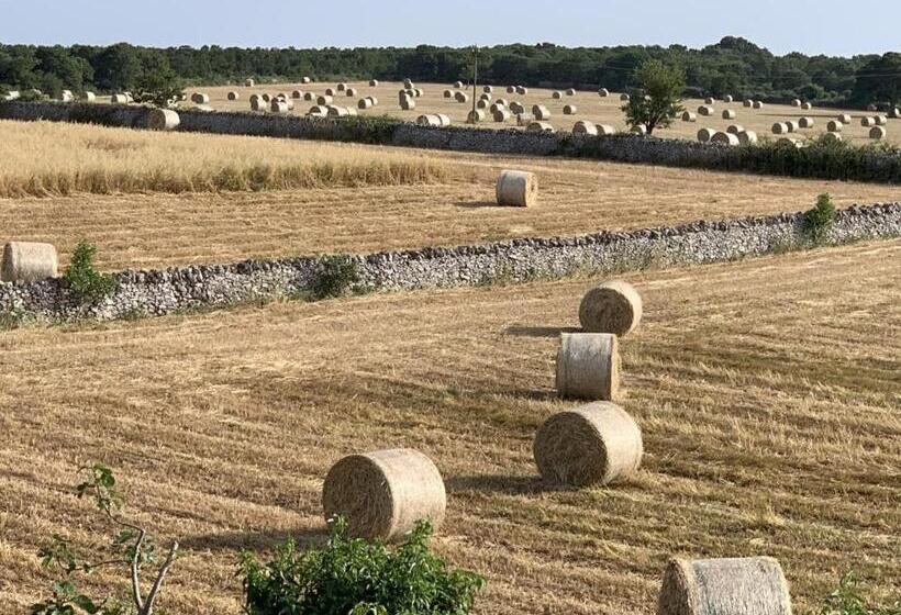 بنسيون Masseria Chianca   Le Rose