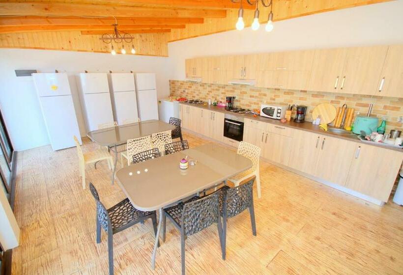 פנסיון Mustaciosul Dunarii