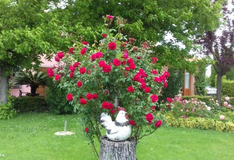 بنسيون Rustico La Pioppeta