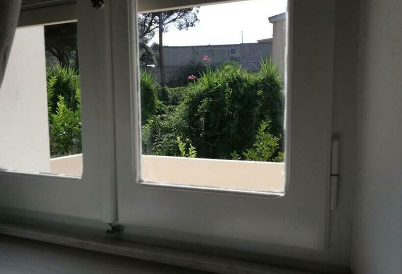 بنسيون San Benedetto