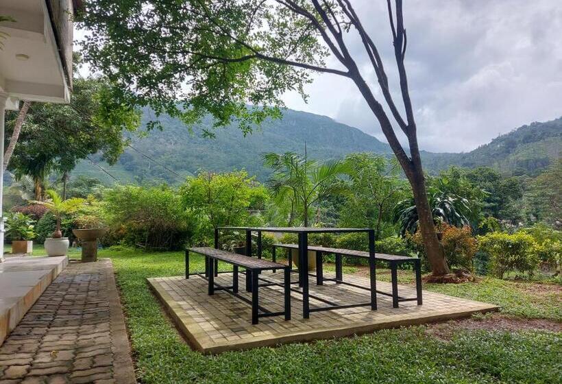 بنسيون Sanctuary