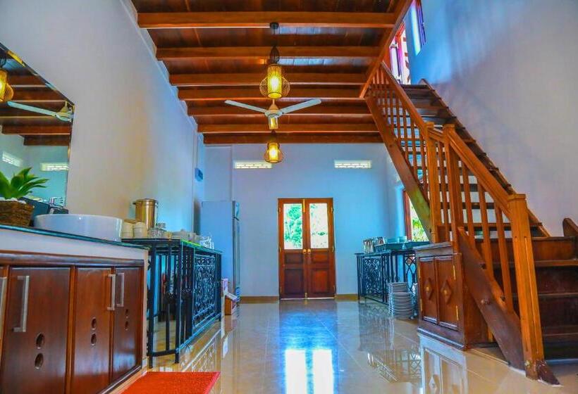 بنسيون Sanctuary