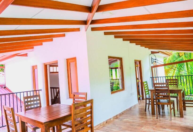 بنسيون Sanctuary