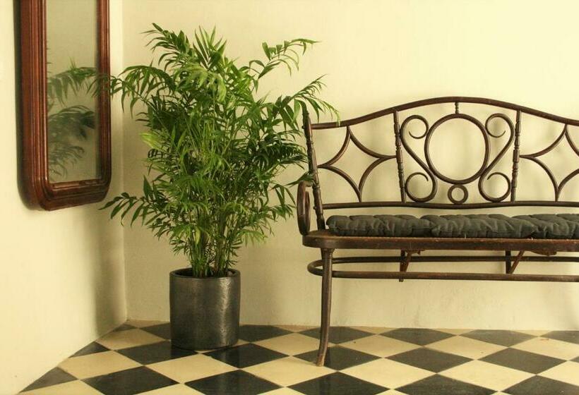 膳宿费 Siete Balcones Y Un Patio