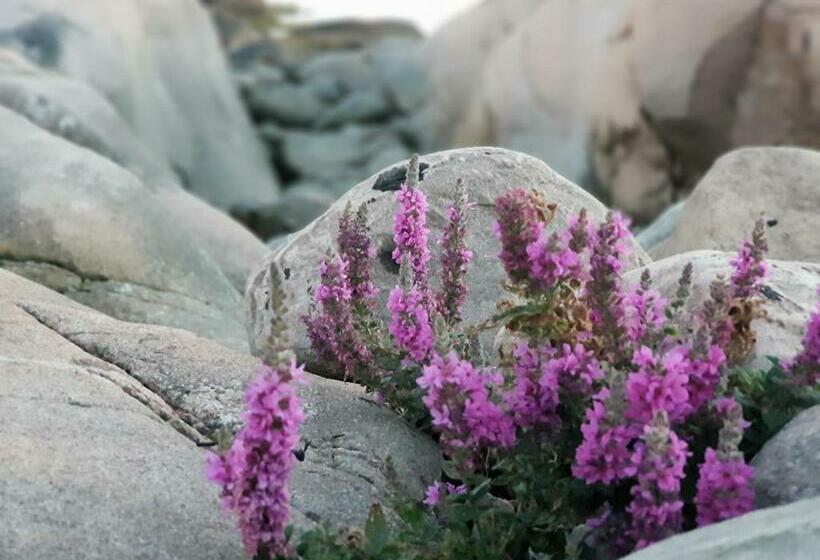 펜션 Stuga Smögen