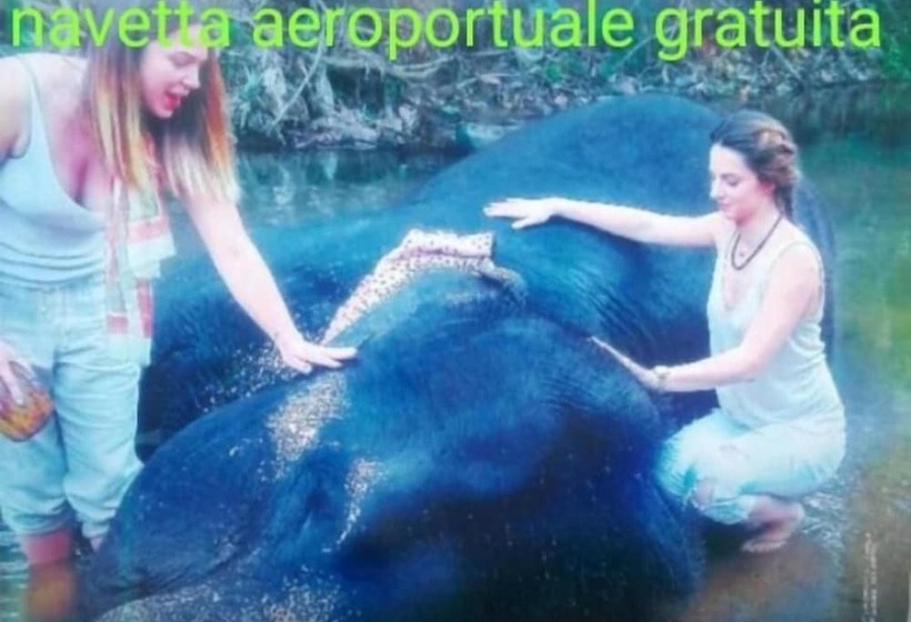 بنسيون Sunrise City Palace