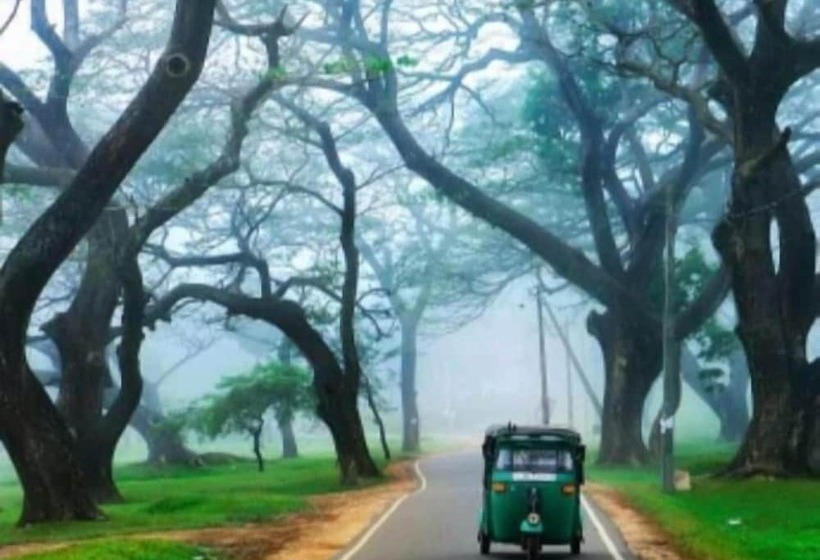 بنسيون Sunrise City Palace