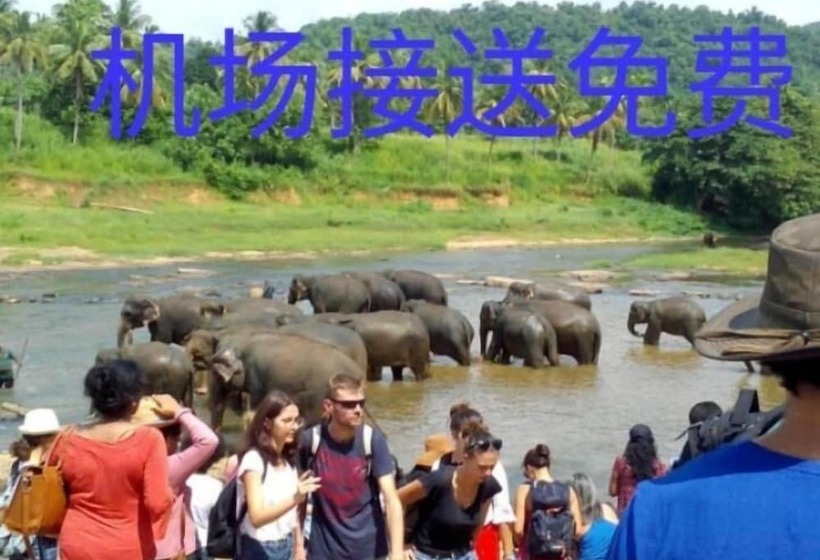 بنسيون Sunrise City Palace