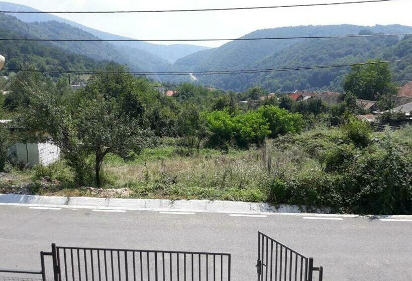 膳宿费 Telteu Florian