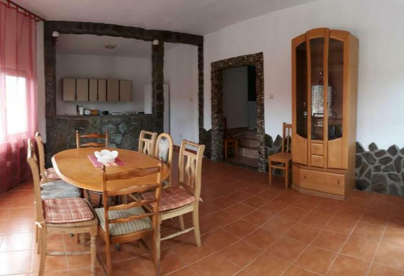 膳宿费 Telteu Florian