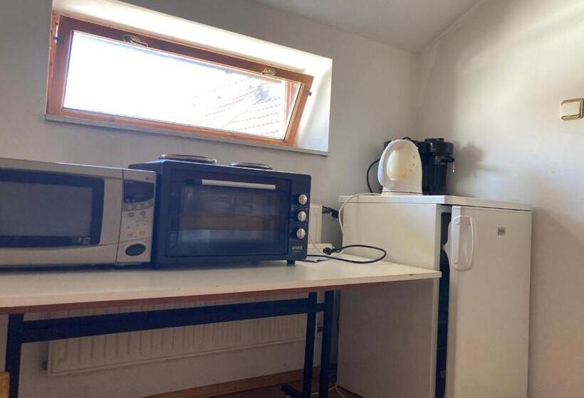 펜션 Ubytování U Hradu