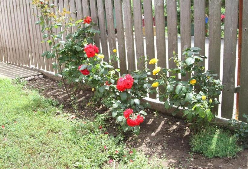 펜션 Vila Toate Panzele Sus