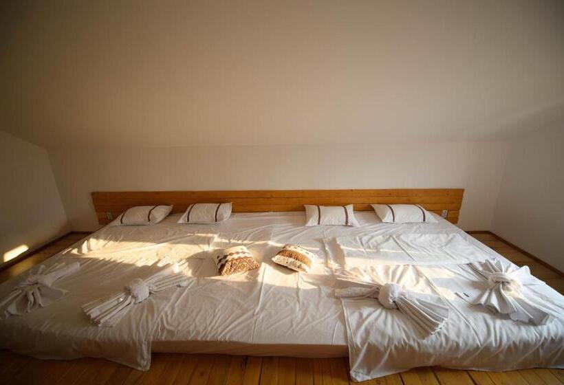 펜션 Vila Toate Panzele Sus