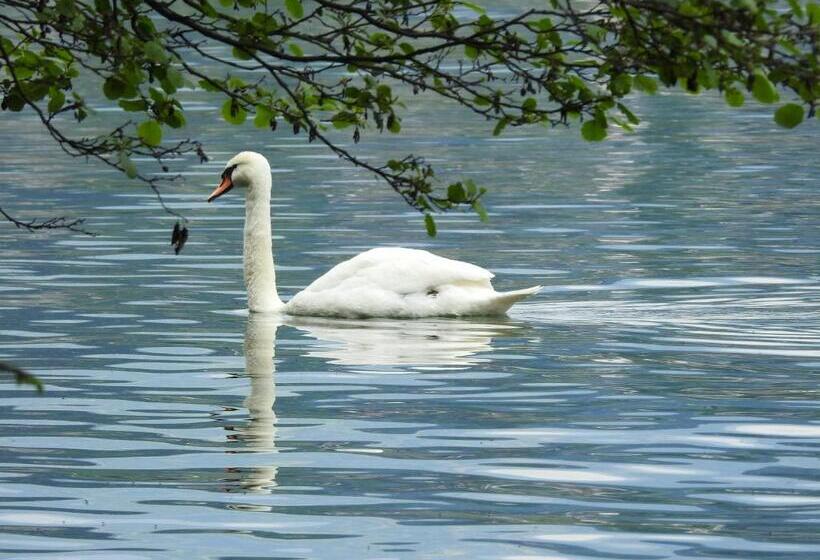 بنسيون Villa Rauter