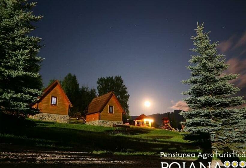 Pensiunea Agroturistica Poiana