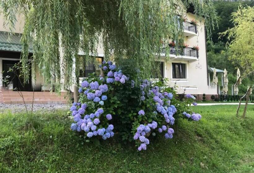 Pensiunea Dimitrios & Spa   Băile Herculane  Valea Cernei Terapie Spa  Relaxare A Minții și A Trupul