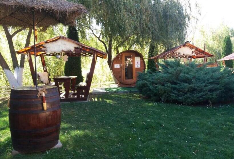 Pensiunea Scarisoara