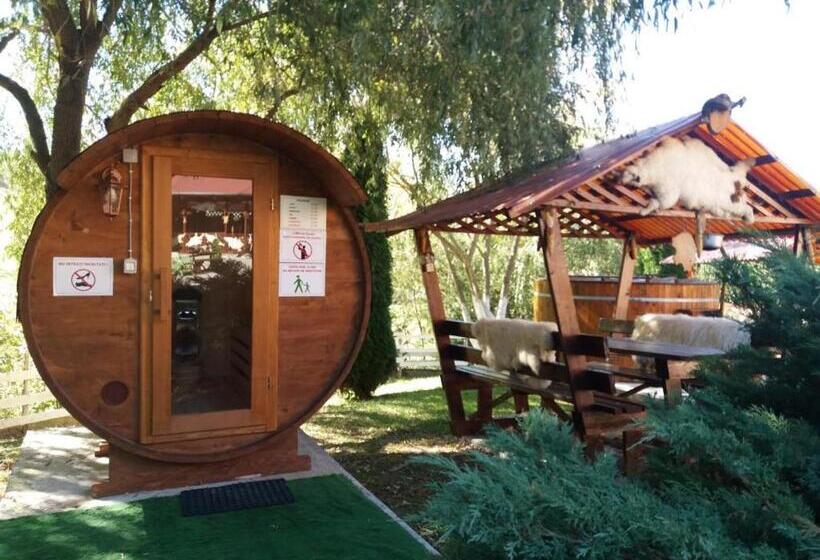 Pensiunea Scarisoara