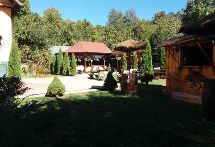 Pensiunea Scarisoara