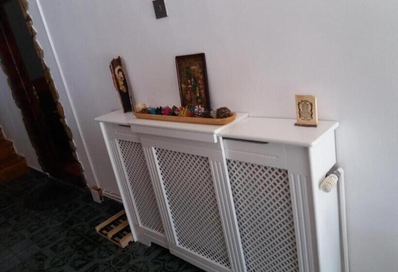 Pensiunea Scarisoara