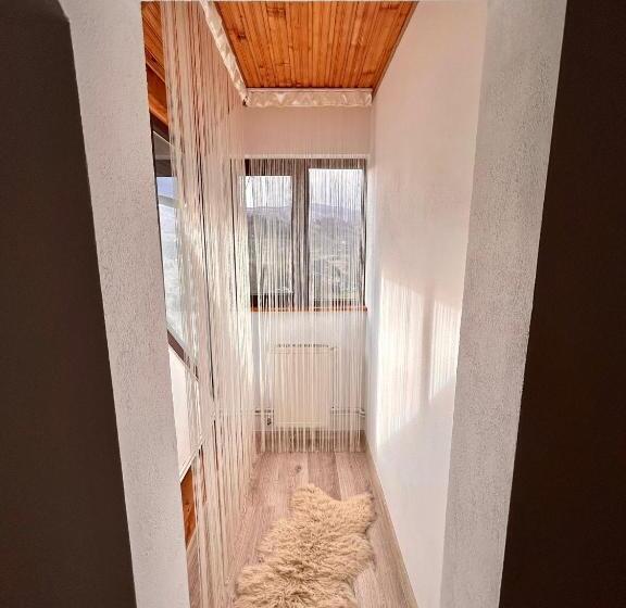 Pensiunea Scarisoara