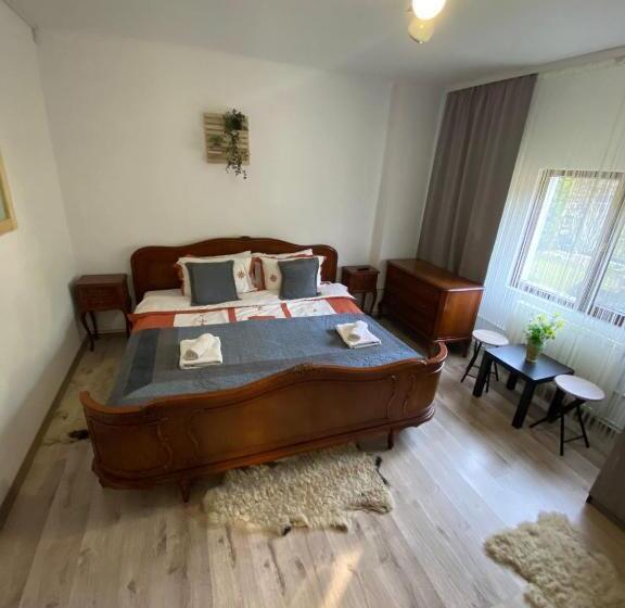 Pensiunea Scarisoara