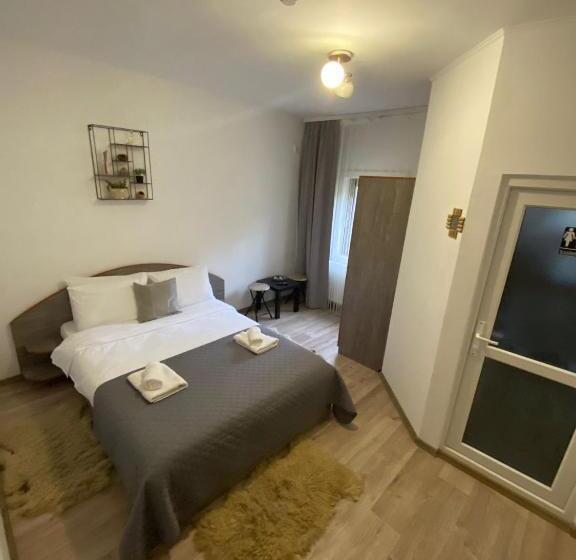 Pensiunea Scarisoara