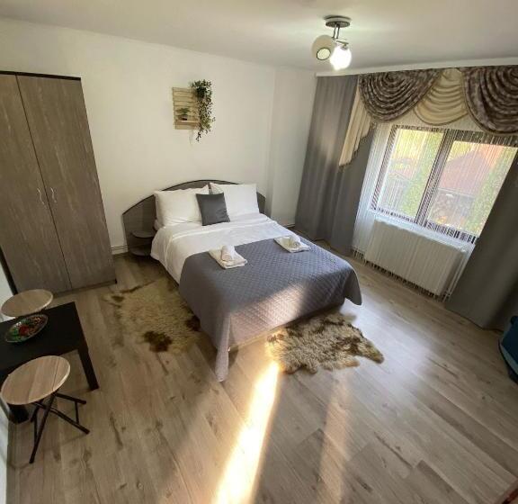 Pensiunea Scarisoara