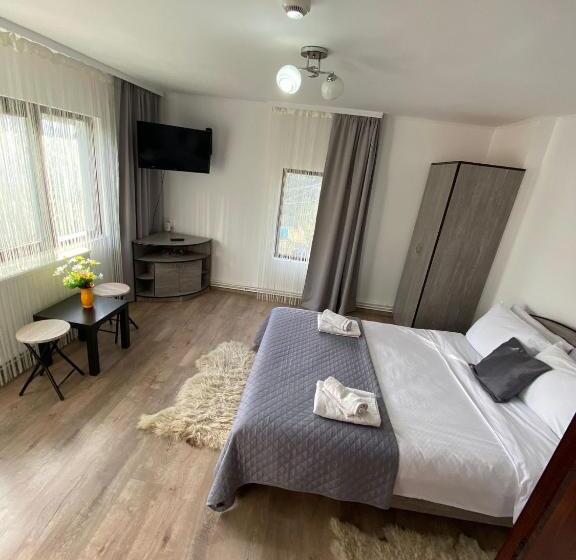 Pensiunea Scarisoara