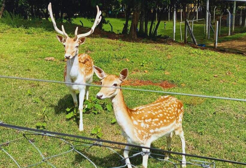 אתר נופש Maestro Thermas Park