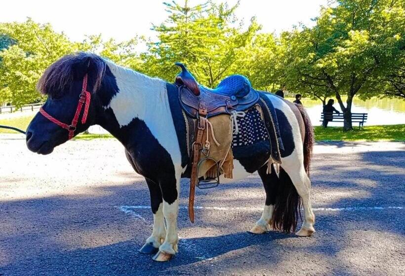 אתר נופש Maestro Thermas Park