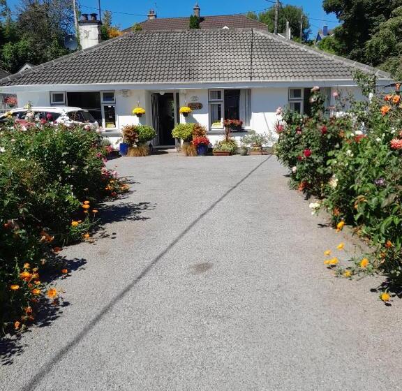 Saint Martin S Bed And Breakfast