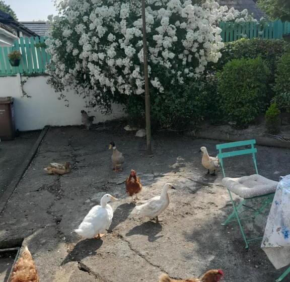 Saint Martin S Bed And Breakfast