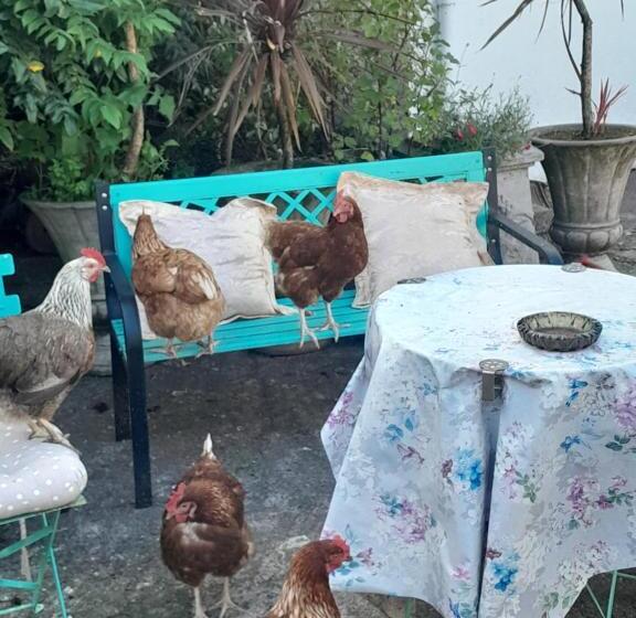 Saint Martin S Bed And Breakfast