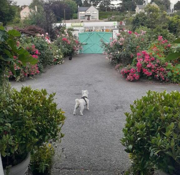 Saint Martin S Bed And Breakfast