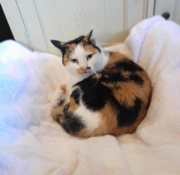 Saint Martin S Bed And Breakfast