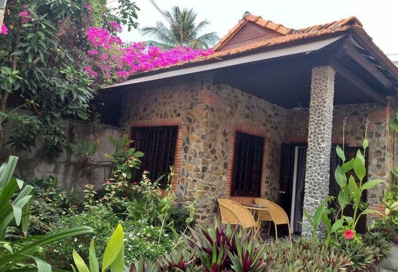 The Dream Resort & Spa