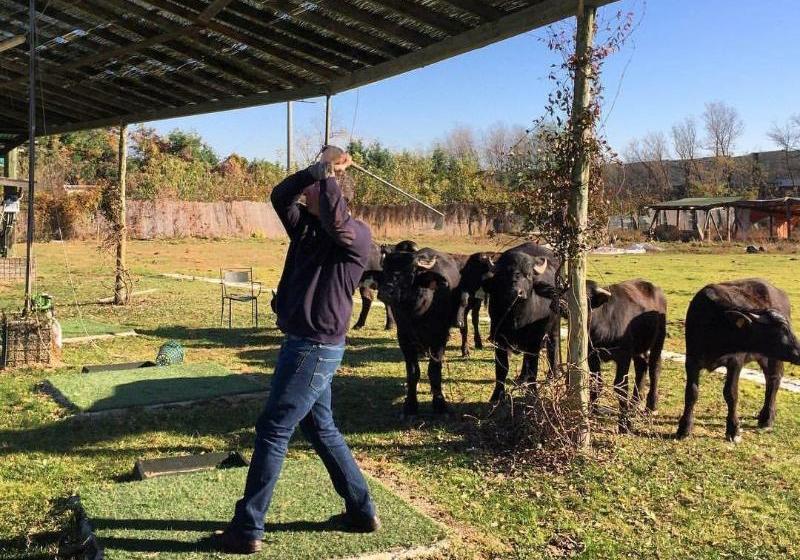 Agriturismo Cascina Madonnina