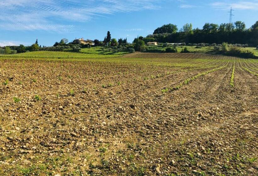 Agriturismo La Valle A Polvereto