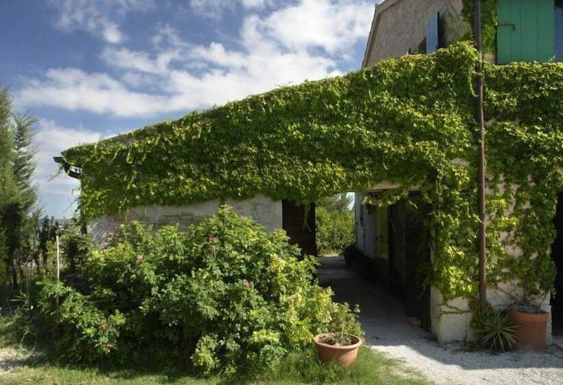 Agriturismo Ripabianca