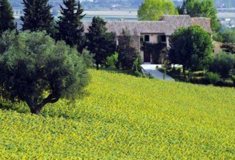 Agriturismo Ripabianca