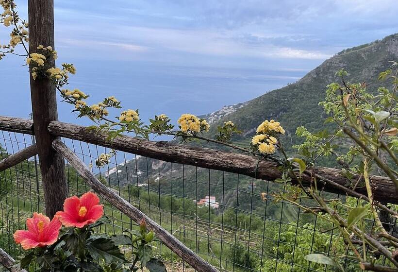 Agriturismo Sant Alfonso