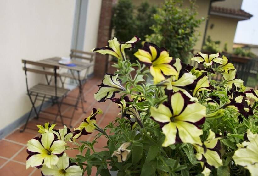 B&b Notti E Dintorni