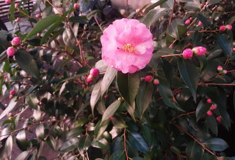 住宿加早餐  Antica Casa Dei Rassicurati