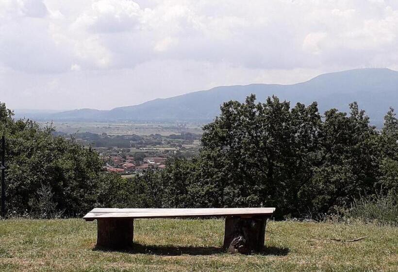 住宿加早餐  Antica Casa Dei Rassicurati