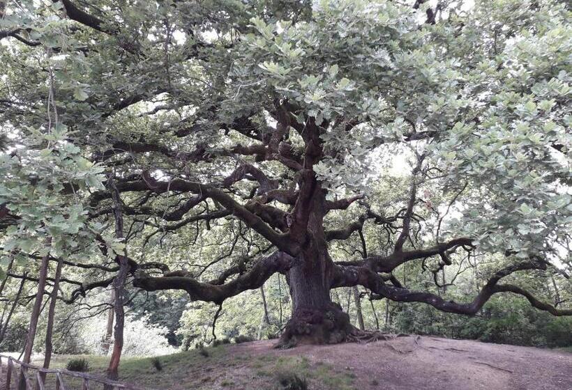 住宿加早餐  Antica Casa Dei Rassicurati