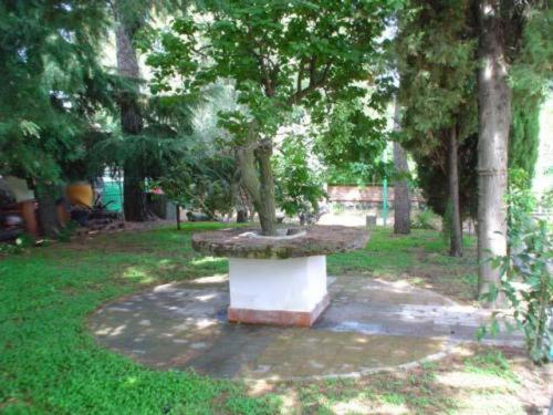 مبيت وإفطار Il Vigneto