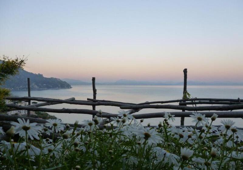 Bed and Breakfast L Antico Borgo Dei Limoni